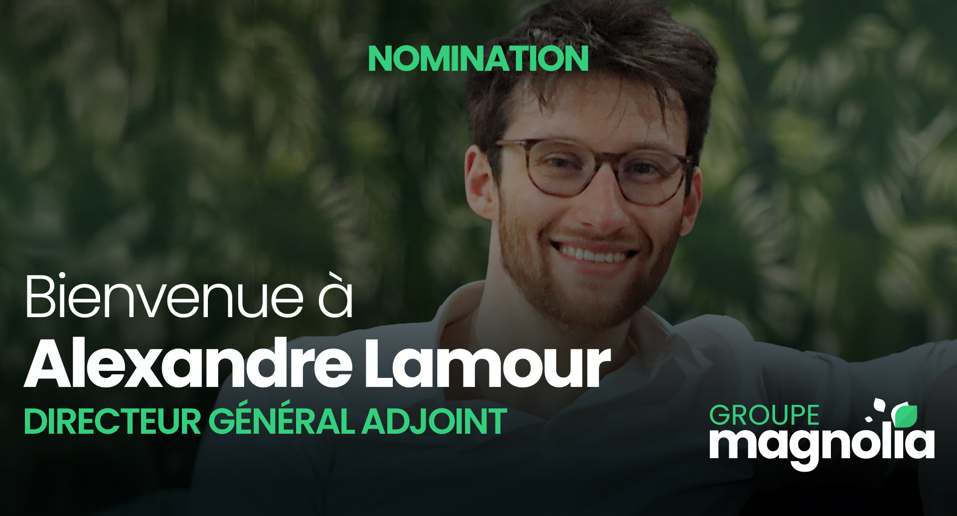nomination alexandre lamour DGA groupe Magnolia